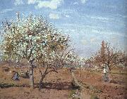 Camille Pissaro Orchard in Bloom at Louveciennes china oil painting reproduction